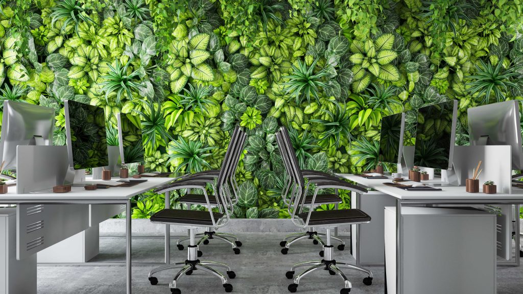 Modern Office with Plants on Wall Background